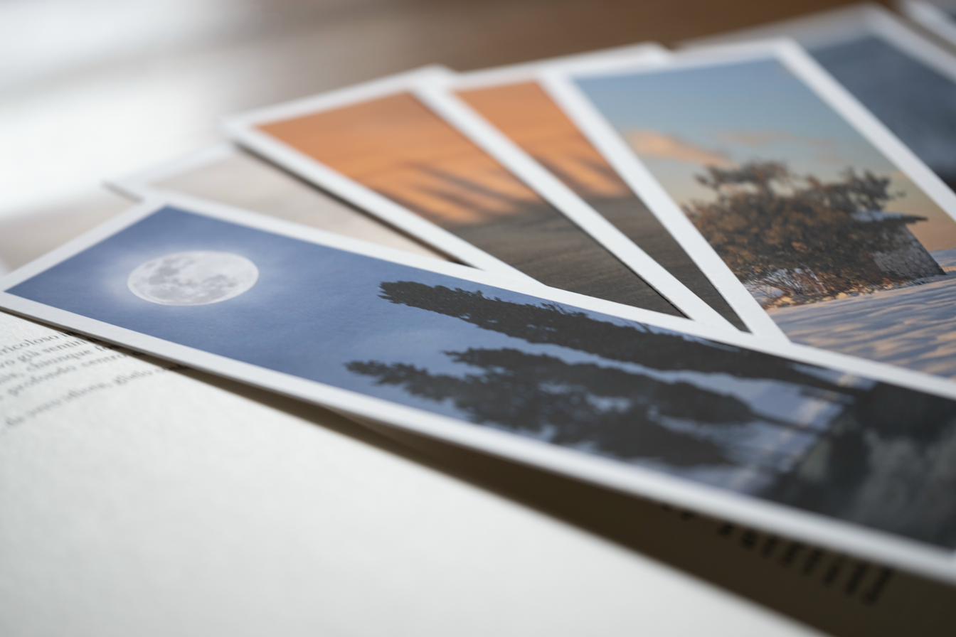 The Fine Art Of Bookmarks