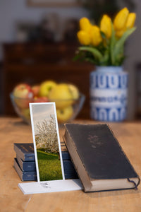A New Life fine art bookmark styled with a dark book and fresh fruit