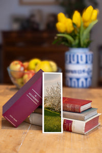 A New Life fine art bookmark beside a stack of vintage books