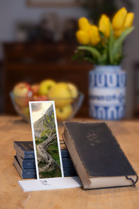 Ancient Tree fine art bookmark styled with a dark book and fresh fruit