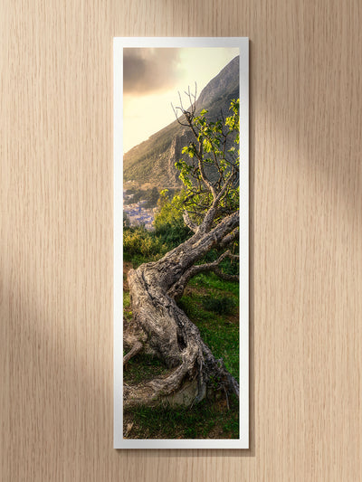 Ancient Tree fine art bookmark printed on 100% cotton paper