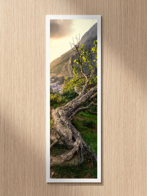 Ancient Tree fine art bookmark printed on 100% cotton paper