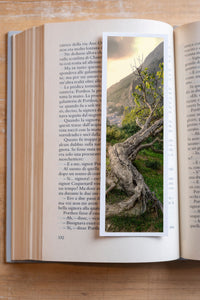 Ancient Tree fine art bookmark resting in an open book, close-up