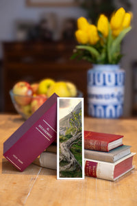 Ancient Tree fine art bookmark beside a stack of vintage books