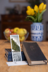 Arctic Glow fine art bookmark styled with a dark book and fresh fruit