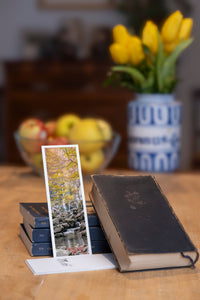 Autumn at Dardagna fine art bookmark styled with a dark book and fresh fruit