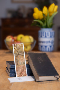 Autumn Cottage fine art bookmark styled with a dark book and fresh fruit