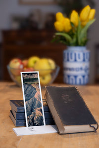 Bloomed Cherry fine art bookmark styled with a dark book and fresh fruit