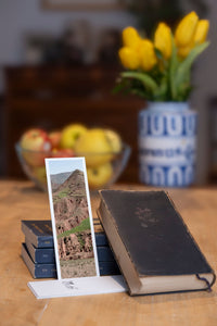 Burnt Mountain fine art bookmark styled with a dark book and fresh fruit