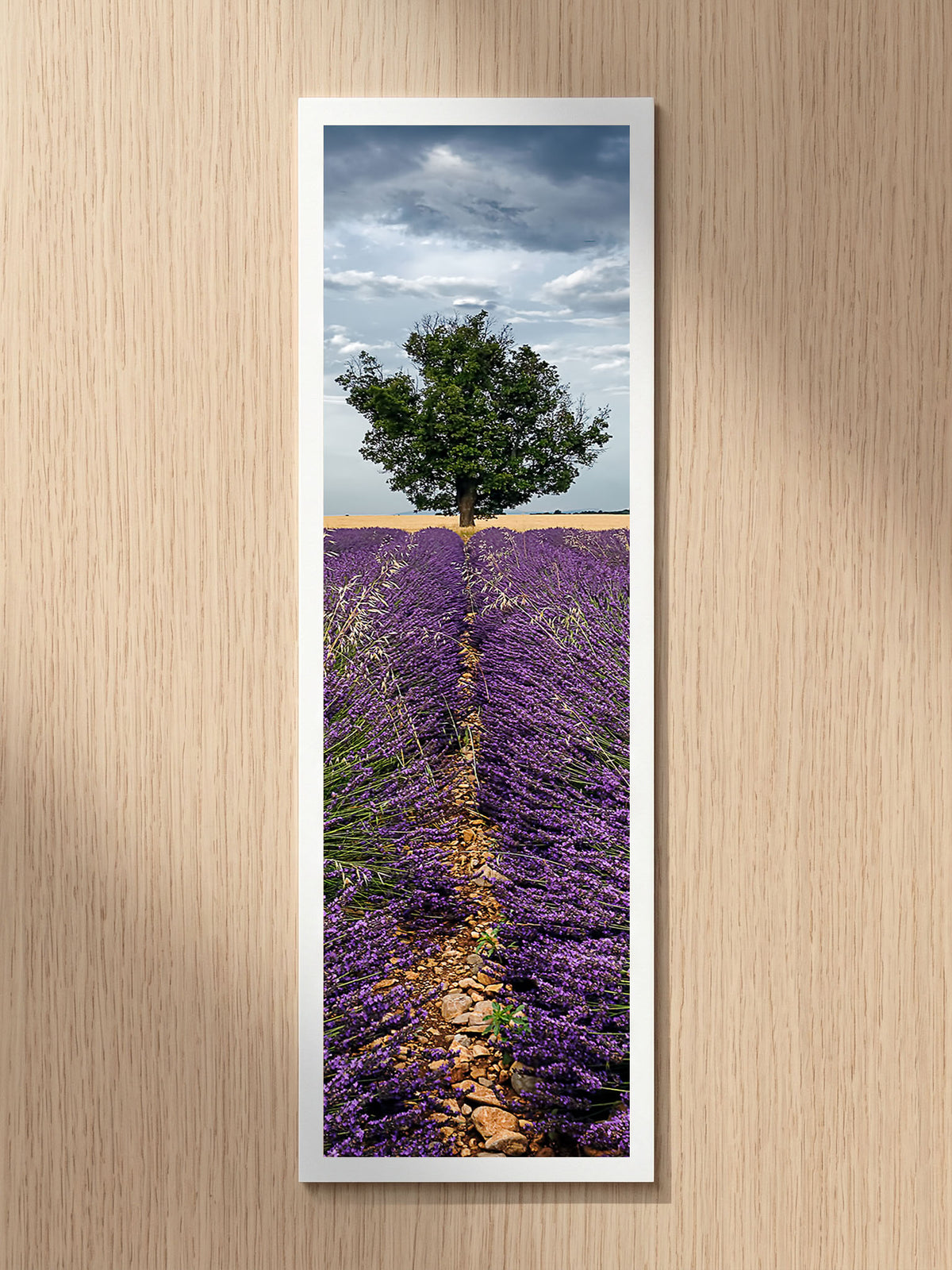 Careful Sentry fine art bookmark printed on 100% cotton paper