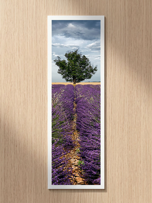 Careful Sentry fine art bookmark printed on 100% cotton paper