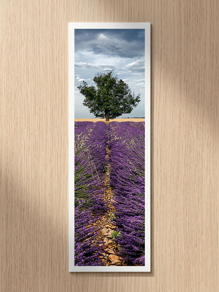 Careful Sentry fine art bookmark printed on 100% cotton paper