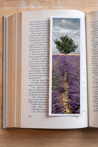 Careful Sentry fine art bookmark resting in an open book, close-up