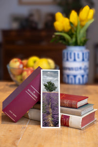 Careful Sentry fine art bookmark beside a stack of vintage books