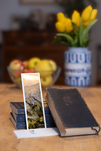 Chefchaouen fine art bookmark styled with a dark book and fresh fruit