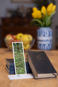 Coconut fine art bookmark styled with a dark book and fresh fruit