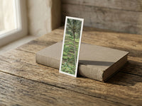 Coconut fine art bookmark resting on a linen-bound book in soft window light