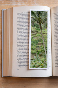 Coconut fine art bookmark resting in an open book, close-up