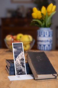 Crystal Peak fine art bookmark styled with a dark book and fresh fruit