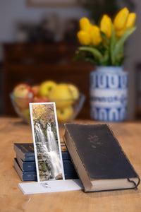 Dardagna Waterfall fine art bookmark styled with a dark book and fresh fruit