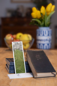 Dragon's Backbone fine art bookmark styled with a dark book and fresh fruit