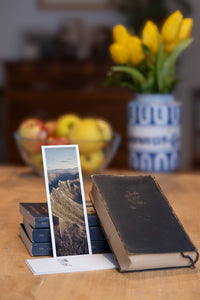 Dragon's Teeth fine art bookmark styled with a dark book and fresh fruit