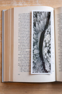 Eagles Viewpoint fine art bookmark resting in an open book, close-up