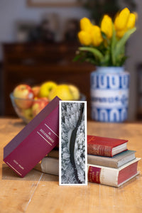 Eagles Viewpoint fine art bookmark beside a stack of vintage books