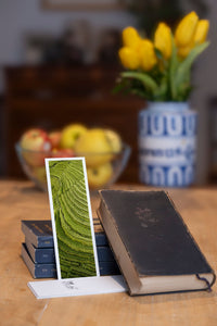 Emerald Terraces fine art bookmark styled with a dark book and fresh fruit
