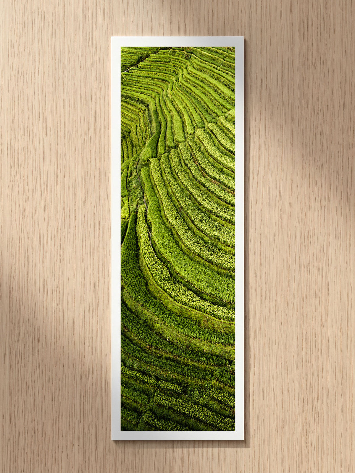 Emerald Terraces fine art bookmark printed on 100% cotton paper