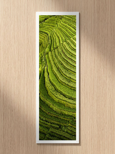 Emerald Terraces fine art bookmark printed on 100% cotton paper