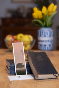 Forest Flight fine art bookmark styled with a dark book and fresh fruit