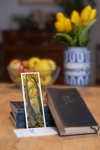 Forest Gates fine art bookmark styled with a dark book and fresh fruit