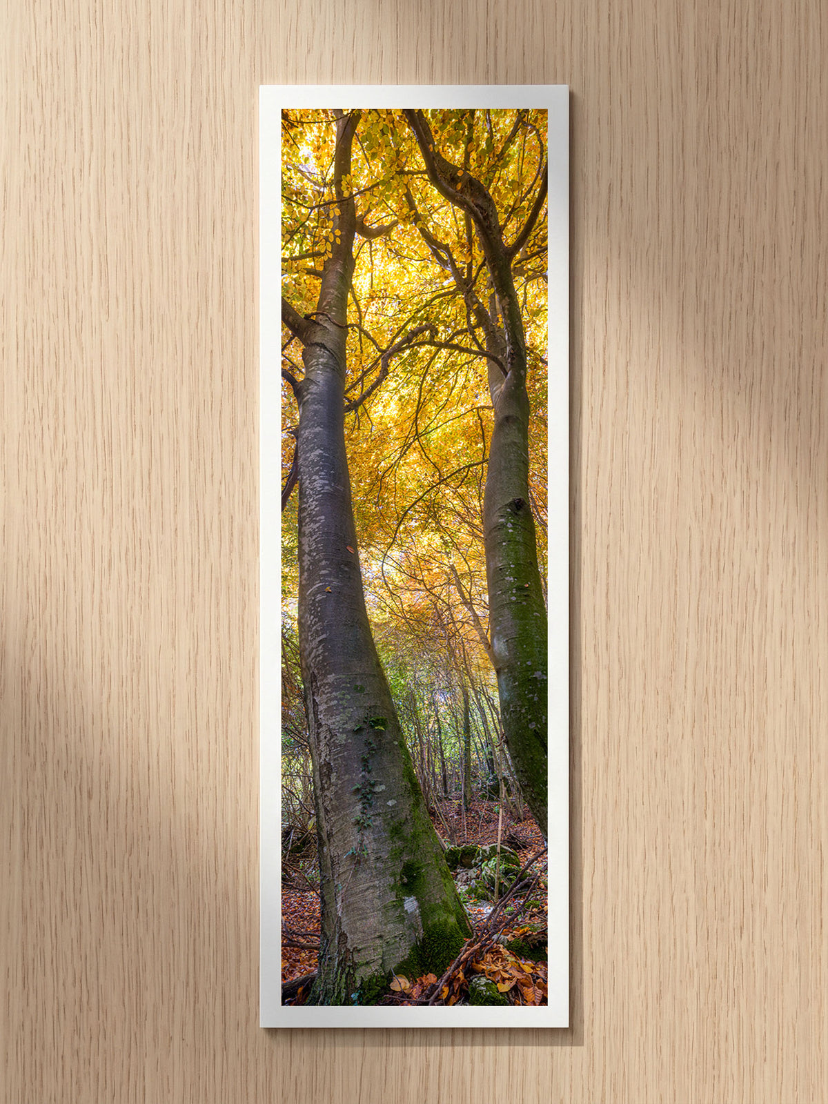 Forest Gates fine art bookmark printed on 100% cotton paper