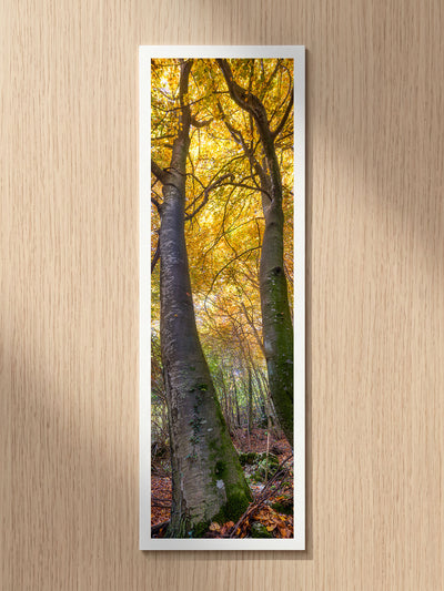 Forest Gates fine art bookmark printed on 100% cotton paper