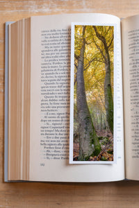 Forest Gates fine art bookmark resting in an open book, close-up
