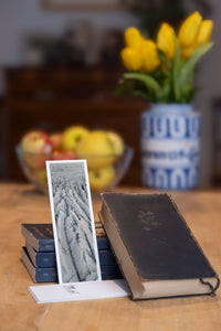 Frozen Veins fine art bookmark styled with a dark book and fresh fruit