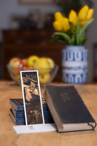 Golden Ridges fine art bookmark styled with a dark book and fresh fruit