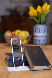 Hidden Oasis fine art bookmark styled with a dark book and fresh fruit
