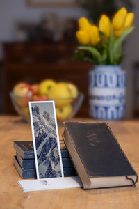 Icy Summit fine art bookmark styled with a dark book and fresh fruit