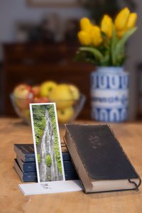 Jungle Tears fine art bookmark styled with a dark book and fresh fruit