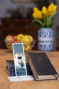 Last Hope fine art bookmark styled with a dark book and fresh fruit