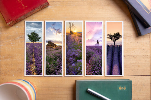 Lavender fine art bookmark set displayed with vintage books