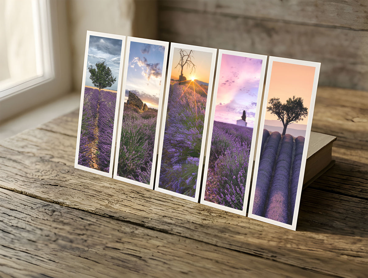 Five Lavender fine art bookmarks in a row in soft window light