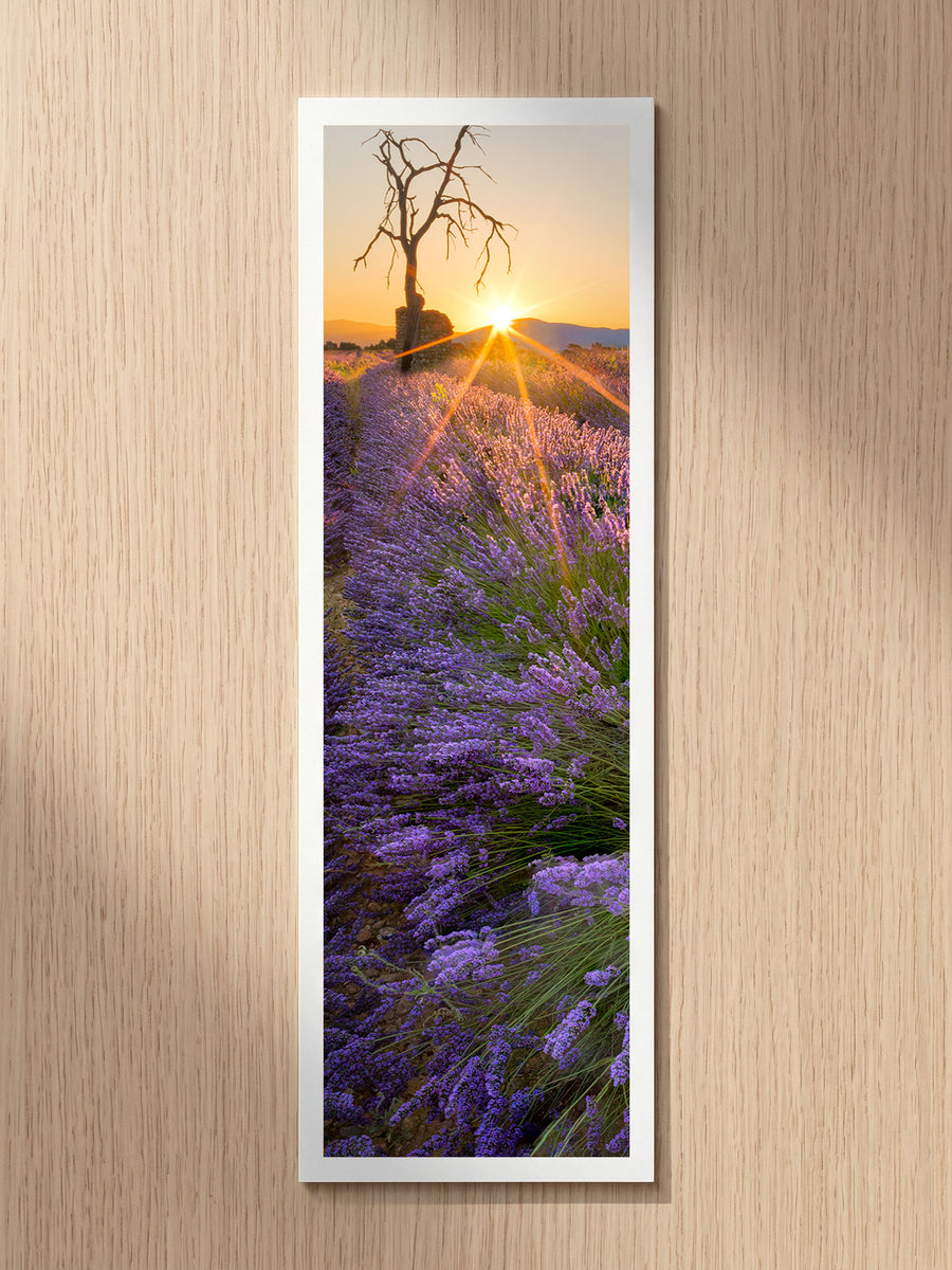 Lavender Sunrise fine art bookmark printed on 100% cotton paper