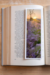 Lavender Sunrise fine art bookmark resting in an open book, close-up