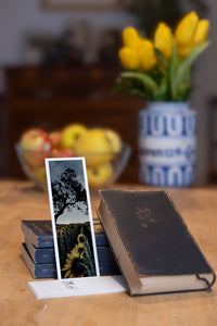 Midnight Sun fine art bookmark styled with a dark book and fresh fruit