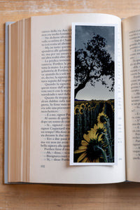 Midnight Sun fine art bookmark resting in an open book, close-up