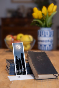 Midnight Veil fine art bookmark styled with a dark book and fresh fruit