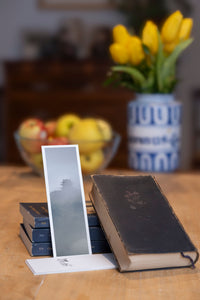 Misty Pagoda fine art bookmark styled with a dark book and fresh fruit
